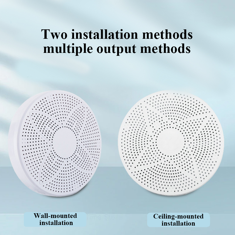 เครื่องตรวจสอบคุณภาพอากาศภายใน - Air Quality Monitor Co2 Pm2.5 Tvoc บทวิจารณ์และราคา